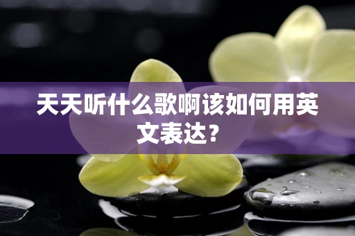 天天听什么歌啊该如何用英文表达？