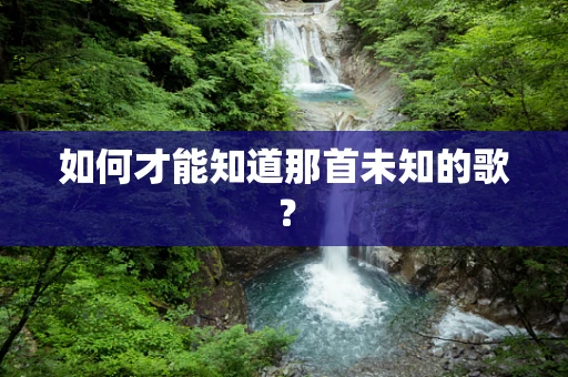 如何才能知道那首未知的歌？