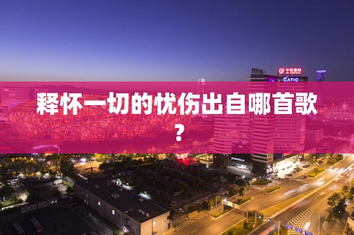 释怀一切的忧伤出自哪首歌？