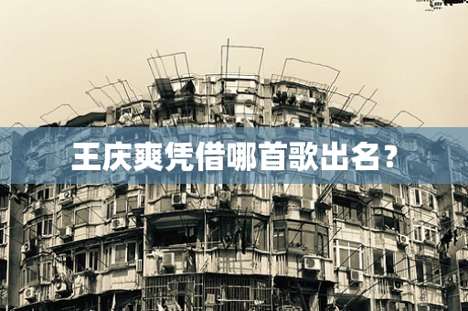王庆爽凭借哪首歌出名？