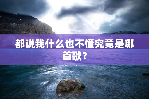 都说我什么也不懂究竟是哪首歌？