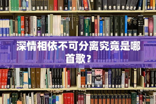 深情相依不可分离究竟是哪首歌？
