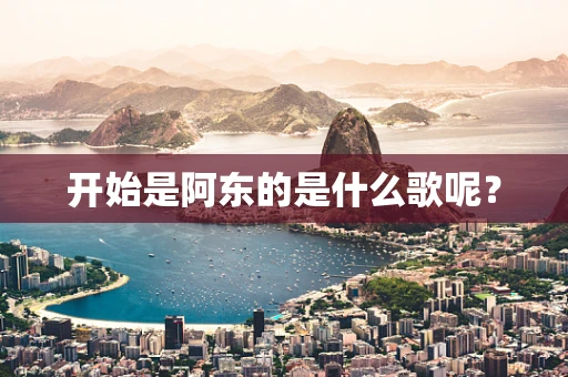 开始是阿东的是什么歌呢？
