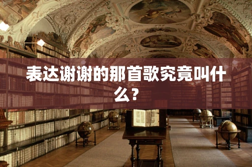表达谢谢的那首歌究竟叫什么？