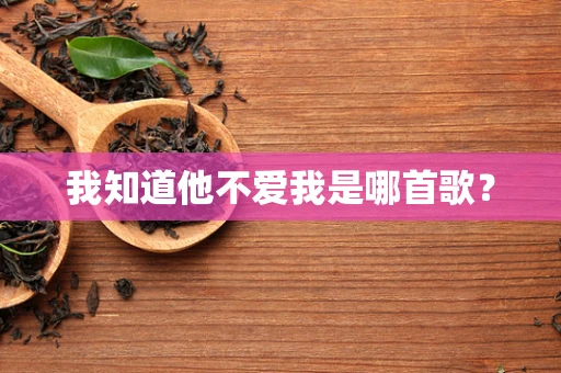 我知道他不爱我是哪首歌？