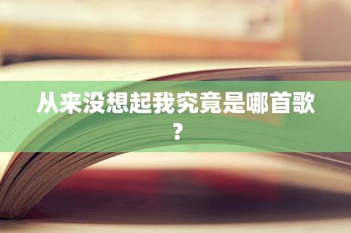 从来没想起我究竟是哪首歌？