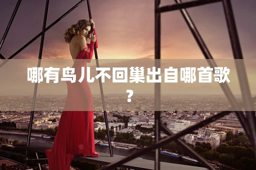 哪有鸟儿不回巢出自哪首歌？