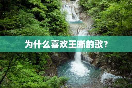 为什么喜欢王晰的歌？