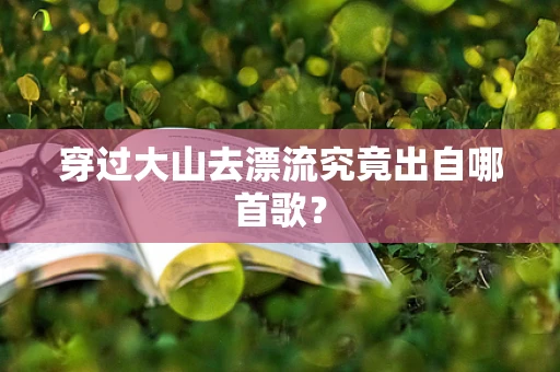 穿过大山去漂流究竟出自哪首歌？