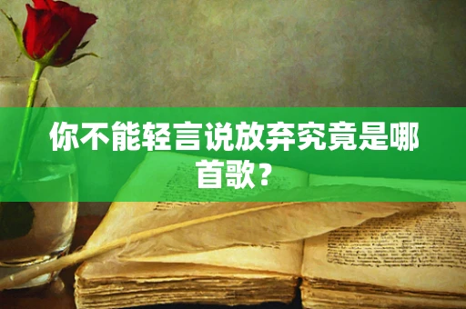 你不能轻言说放弃究竟是哪首歌？