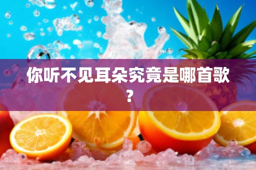 你听不见耳朵究竟是哪首歌？