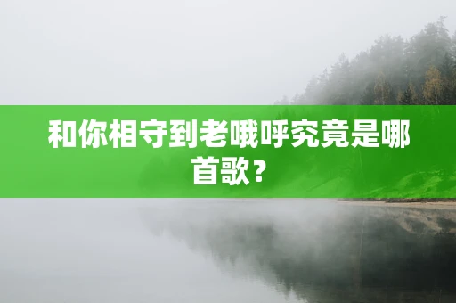 和你相守到老哦呼究竟是哪首歌？