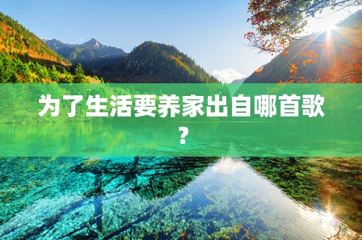 为了生活要养家出自哪首歌？