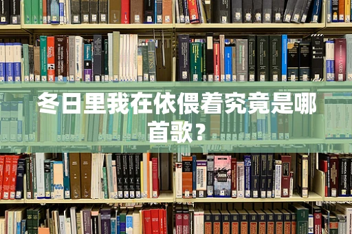冬日里我在依偎着究竟是哪首歌？