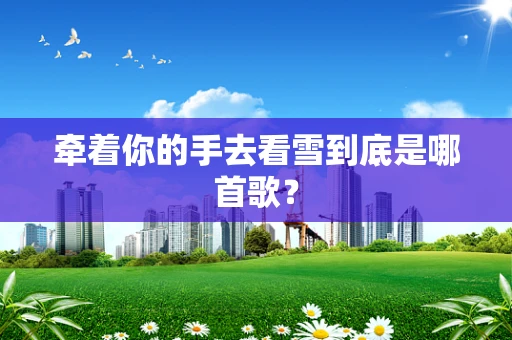 牵着你的手去看雪到底是哪首歌？