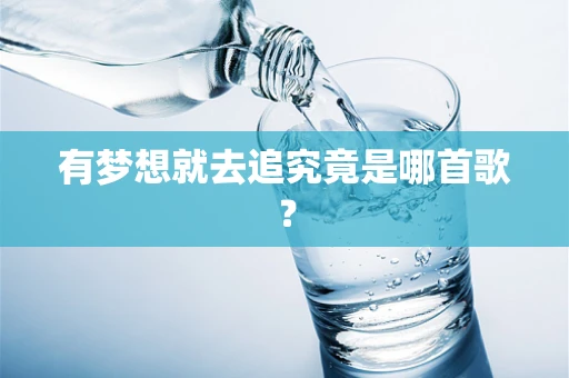 有梦想就去追究竟是哪首歌？
