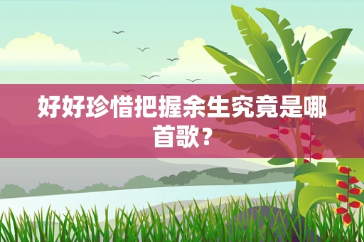 好好珍惜把握余生究竟是哪首歌？