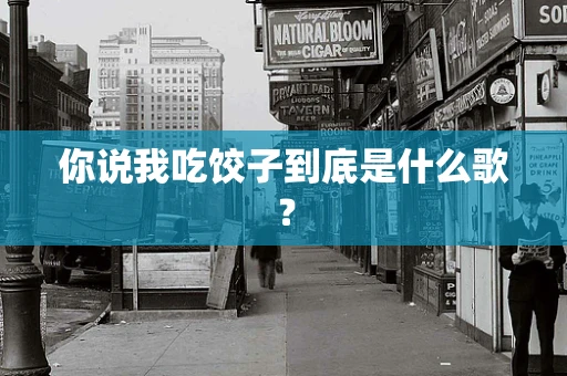 你说我吃饺子到底是什么歌？