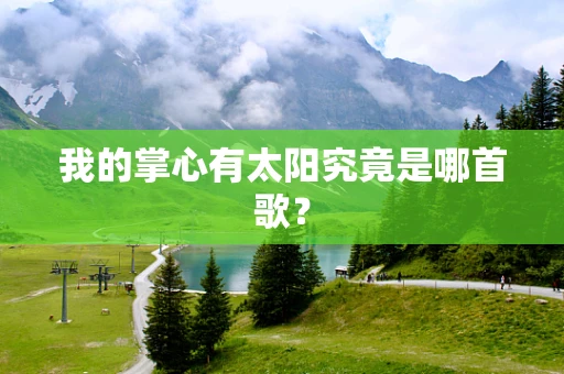 我的掌心有太阳究竟是哪首歌？
