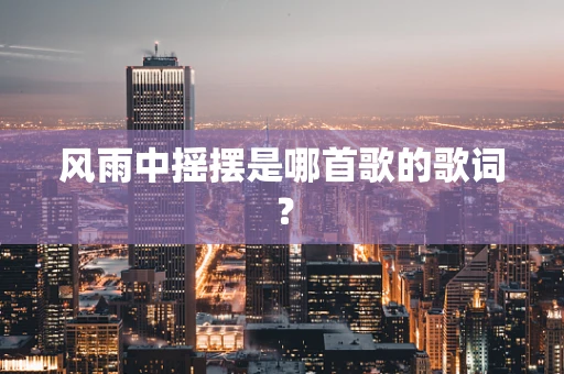 风雨中摇摆是哪首歌的歌词？