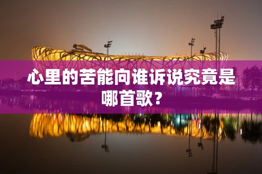 心里的苦能向谁诉说究竟是哪首歌？
