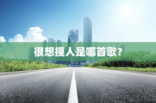 很想摸人是哪首歌？