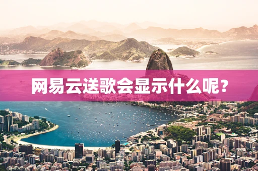 网易云送歌会显示什么呢？