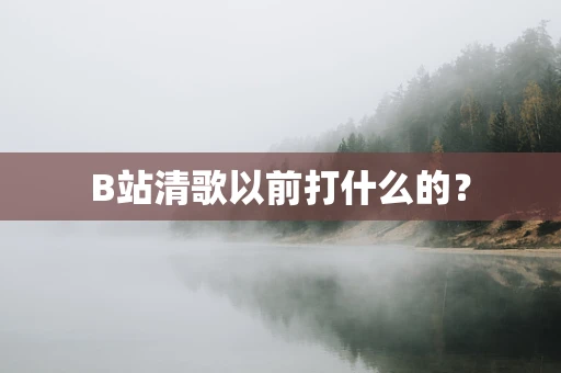 B站清歌以前打什么的？