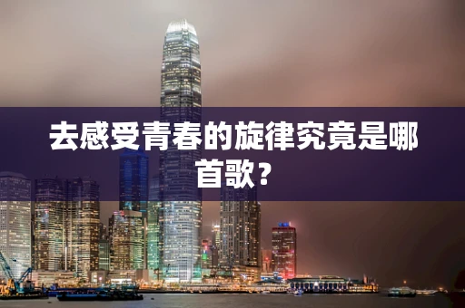 去感受青春的旋律究竟是哪首歌？