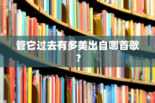 管它过去有多美出自哪首歌？