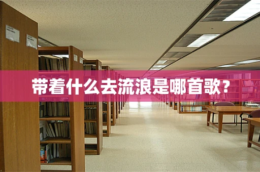带着什么去流浪是哪首歌？