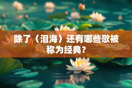除了〈泪海〉还有哪些歌被称为经典？