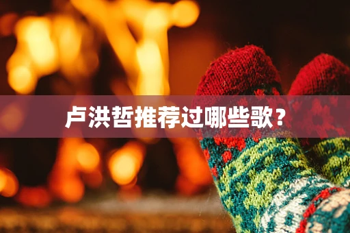 卢洪哲推荐过哪些歌？