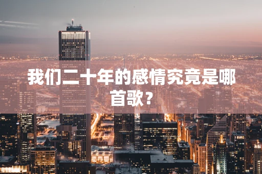 我们二十年的感情究竟是哪首歌？