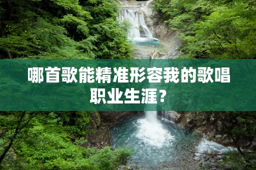 哪首歌能精准形容我的歌唱职业生涯？