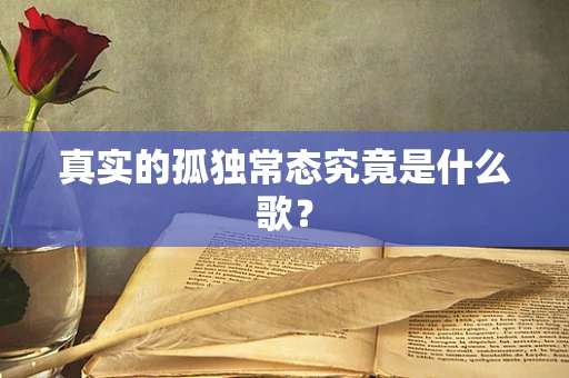 真实的孤独常态究竟是什么歌？