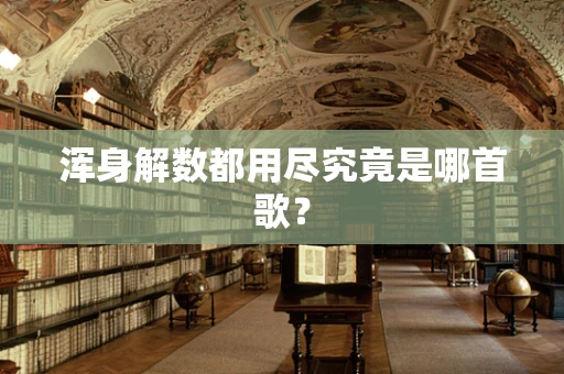浑身解数都用尽究竟是哪首歌？