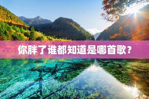 你胖了谁都知道是哪首歌？