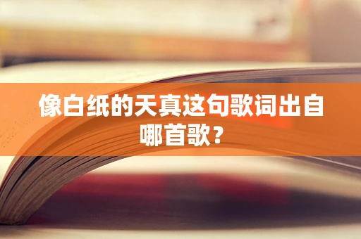 像白纸的天真这句歌词出自哪首歌？