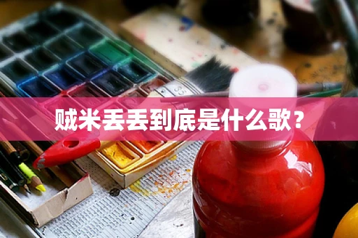 贼米丢丢到底是什么歌？