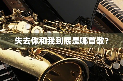 失去你和我到底是哪首歌？