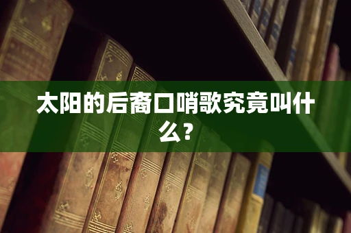 太阳的后裔口哨歌究竟叫什么？