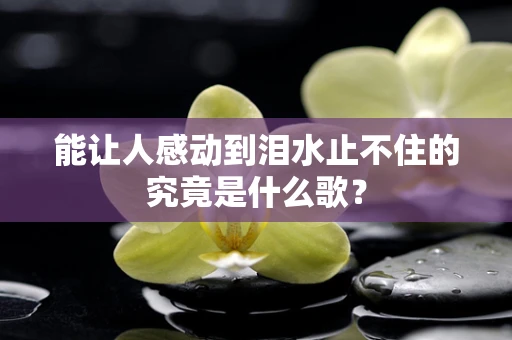 能让人感动到泪水止不住的究竟是什么歌？
