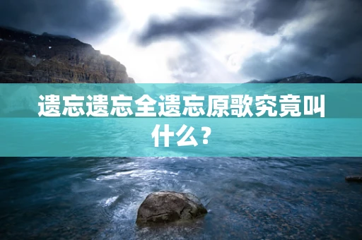 遗忘遗忘全遗忘原歌究竟叫什么？