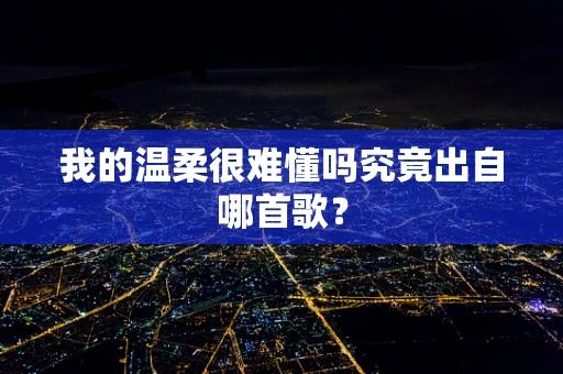 我的温柔很难懂吗究竟出自哪首歌？