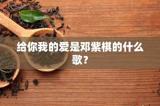 给你我的爱是邓紫棋的什么歌？