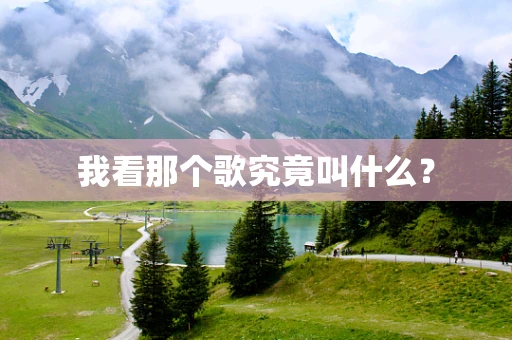 我看那个歌究竟叫什么？