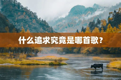 什么追求究竟是哪首歌？
