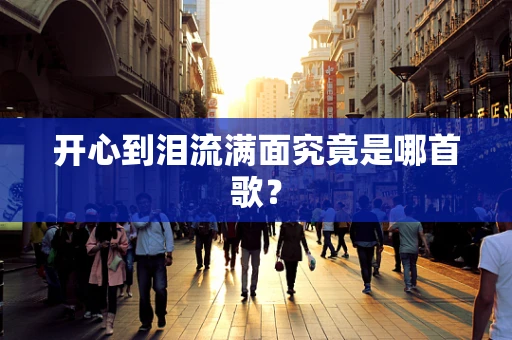 开心到泪流满面究竟是哪首歌？