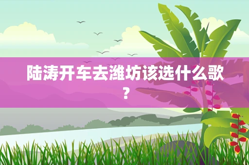 陆涛开车去潍坊该选什么歌？